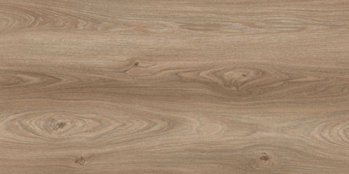 Ламинат Floorwood Active Дуб Касл Светлый GDN 1004-01