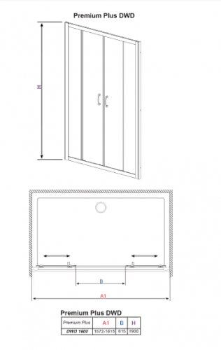 Душевая дверь в нишу Radaway Premium Plus DWD 160 стекло фабрик фото 3