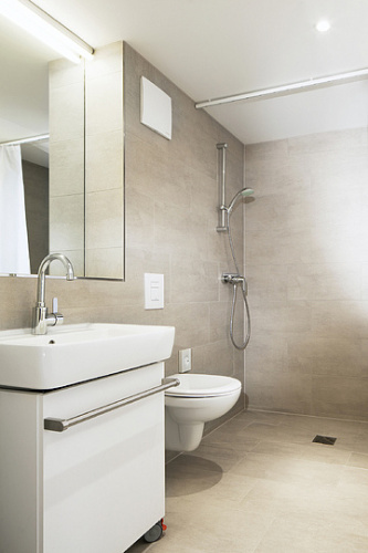 Душевая штанга Grohe Tempesta New Cosmopolitan 27521000 фото 2