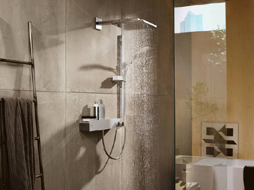 Верхний душ Hansgrohe Raindance E 26238000 фото 2