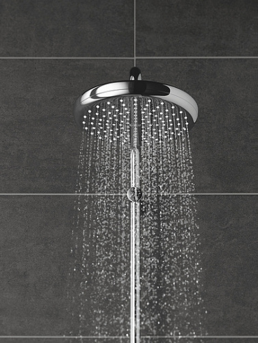 Верхний душ Grohe Tempesta 26409000 фото 3