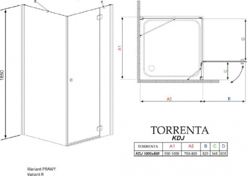 Душевой уголок Radaway Torrenta KDJ 100x80 стекло графит R фото 3