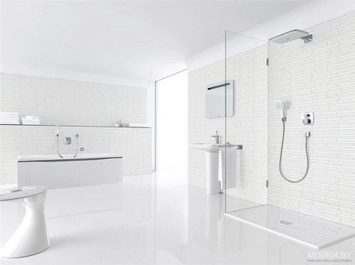 Душевая лейка Hansgrohe PuraVida 28557400 фото 3