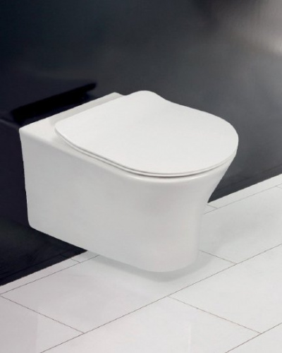Крышка-сиденье BelBagno Tanto BB2034SC с микролифтом фото 3