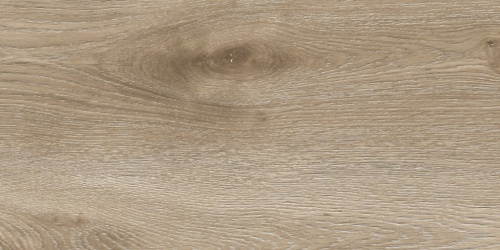 Ламинат Floorwood Active Дуб Честер Стандарт GDM 1006-00 Ламинат Floorwood Active Дуб Честер Стандарт GDM 1006-00