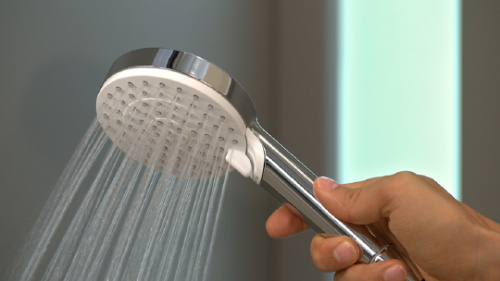 Душевая лейка Hansgrohe Crometta Vario 26330400 фото 2